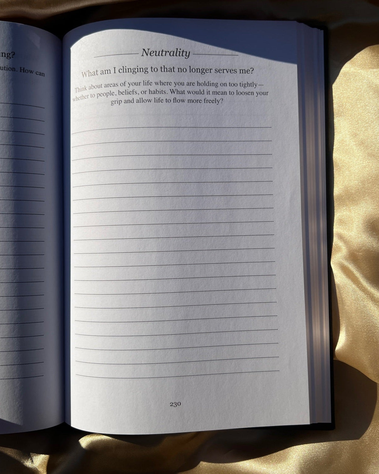 The Shadow Work Book