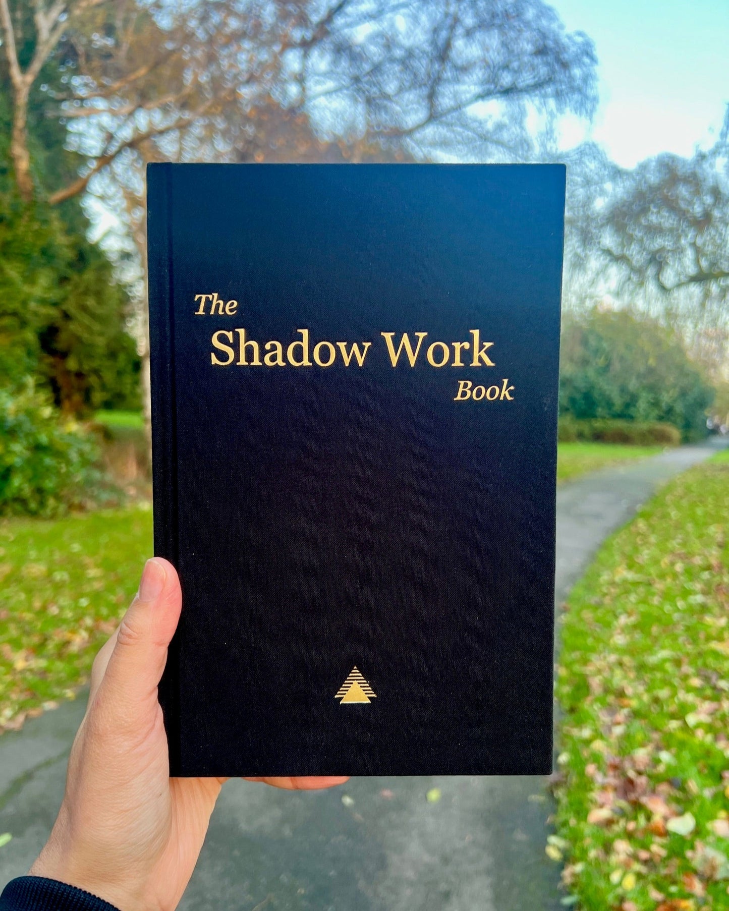 The Shadow Work Book
